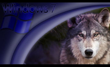 Windows Wolf