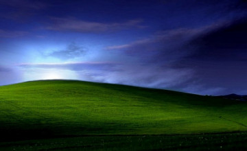 Windows XP Bliss 1024x768