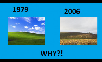 Windows XP Bliss Now