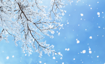 Winter Backgrounds Pics