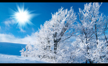 Winter Computer Backgrounds