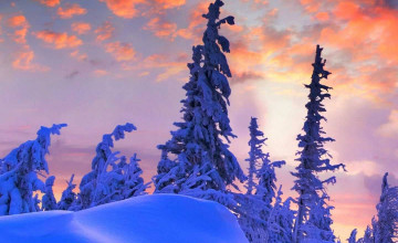 Winter Iphone