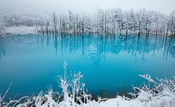 Winter Lakeside