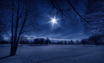 Winter Night Desktop