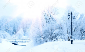 Winter Scene Background