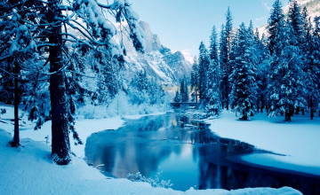Winter Scene Desktop Backgrounds
