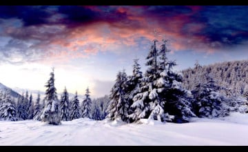 Winter Scenery Desktop