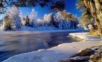 Winter Scenery Wallpapers