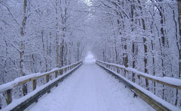 Winter Scenes Backgrounds