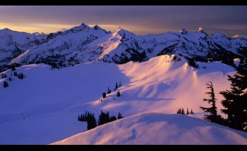 Winter Snow Desktop