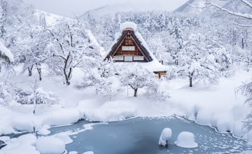Winter Snow HD Wallpapers