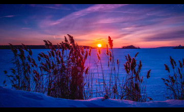 Winter Sunset Ultra HD