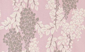Wisteria Wallpapers Designs