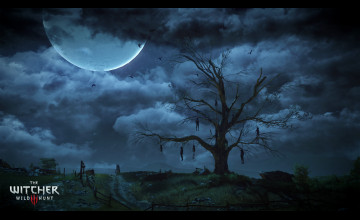 Witcher 3 Desktop Wallpapers