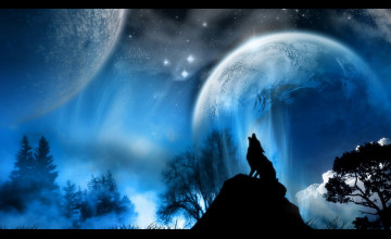 Wolf Backgrounds Wallpapers