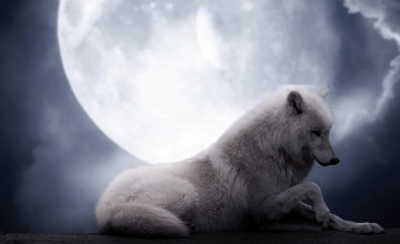 Wolf Full Moon