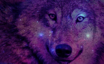 Wolf Galaxy iPhone Wallpapers