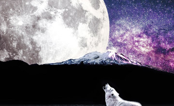 Wolf With Moon Wallpapers