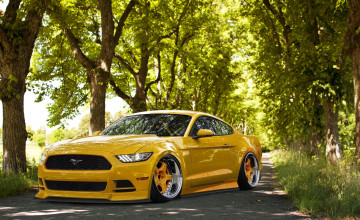 Yellow 2015 Mustang Wallpapers