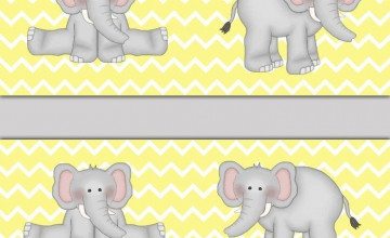 Yellow and Gray Wallpaper Border