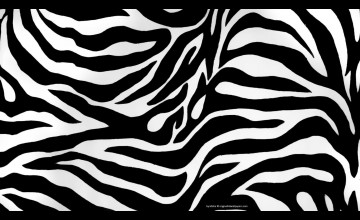 Zebra Print Desktop