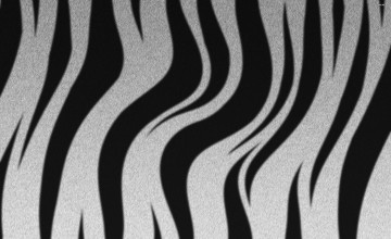 Zebra Stripe Wallpaper