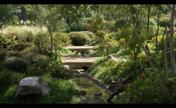 Zen Garden Desktop