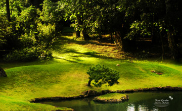 Zen Garden Wallpapers