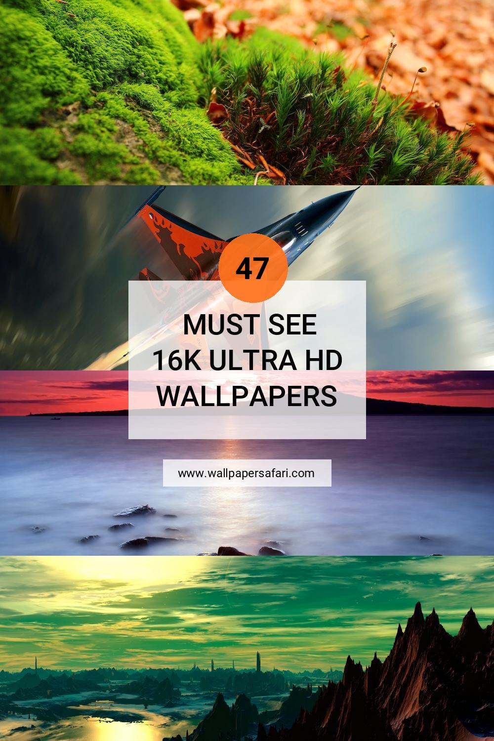🔥 [50+] 16K Ultra HD Wallpapers | WallpaperSafari