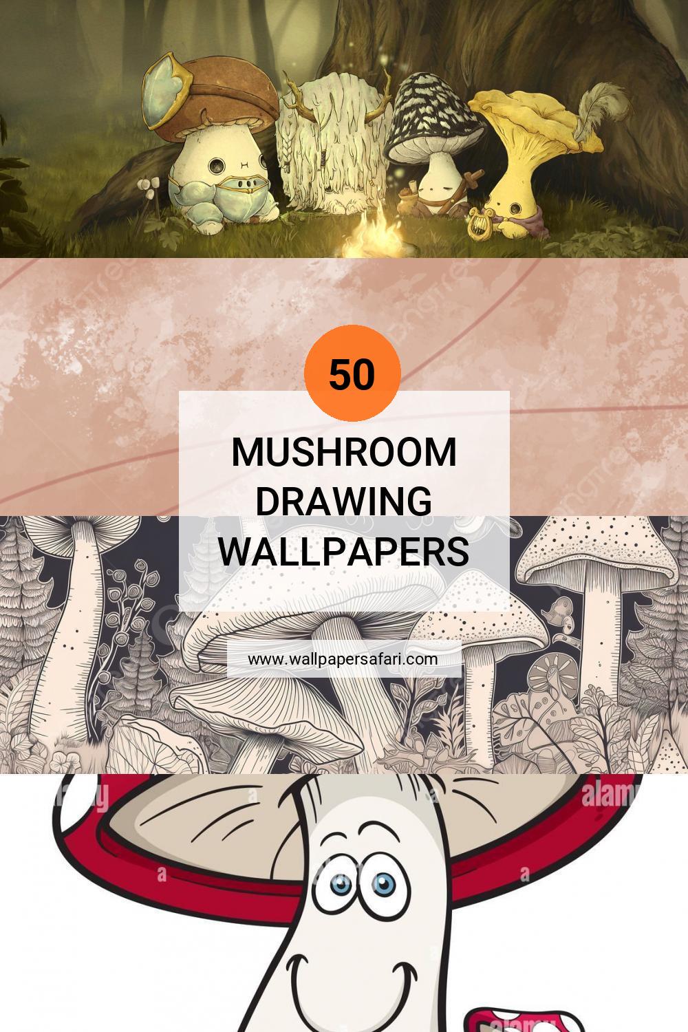 🔥 [40+] Mushroom Drawing Wallpapers | WallpaperSafari