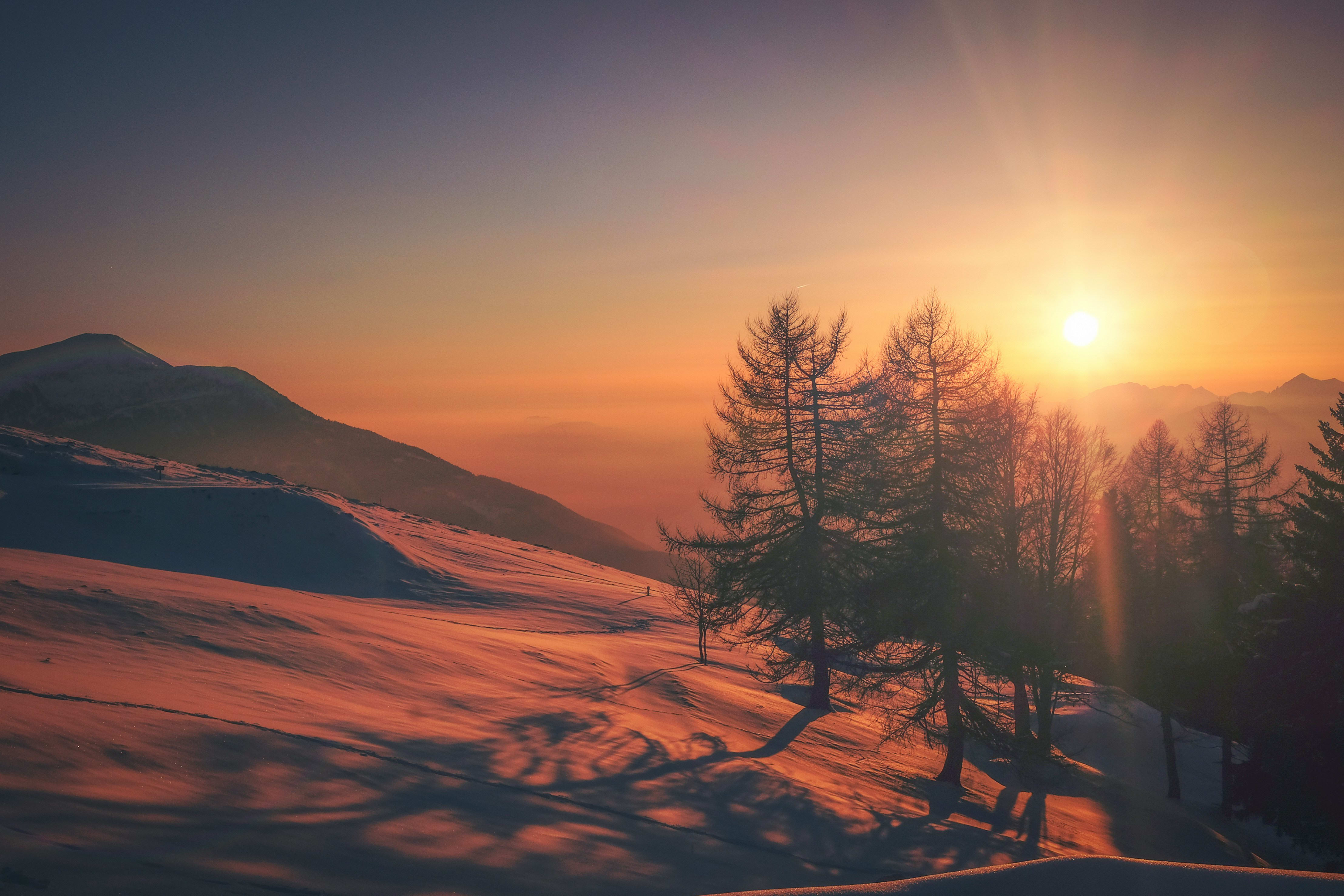 Winter Wallpaper